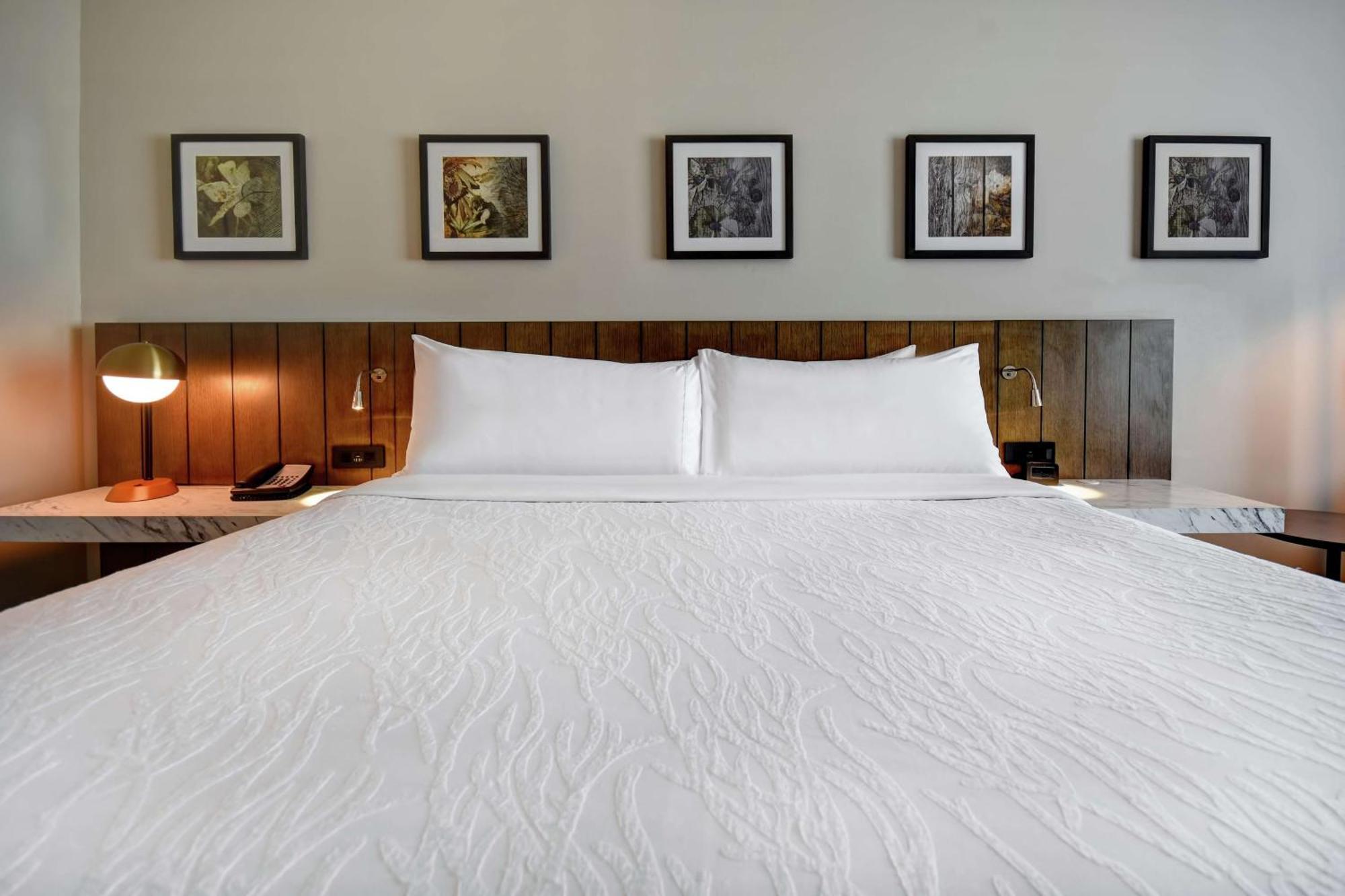 Hilton Garden Inn Jackson Eksteriør bilde