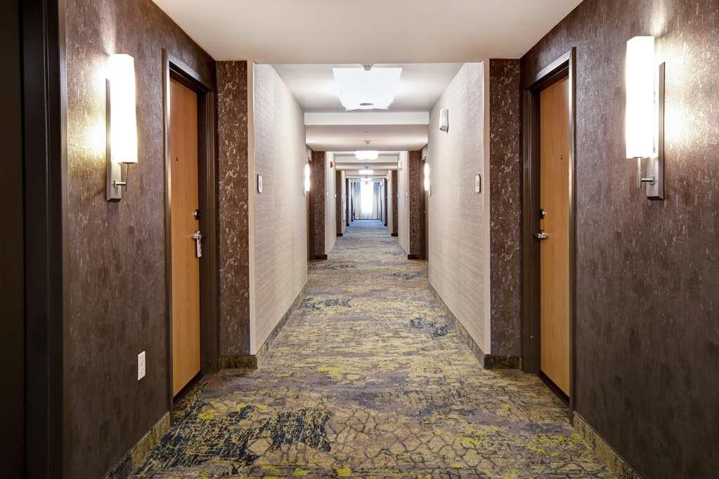 Hilton Garden Inn Jackson Bekvemmeligheter bilde